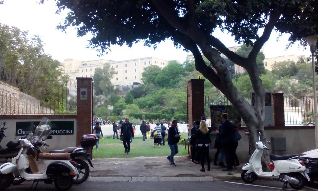 Casa de hóspedes I Punici